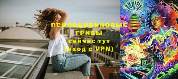 крисы Арсеньев