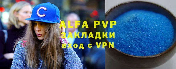 прущие грибы Карпинск