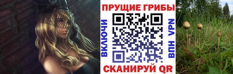 Галлюциногенные грибы MAGIC MUSHROOMS  где можно купить наркотик  Белозерск 
